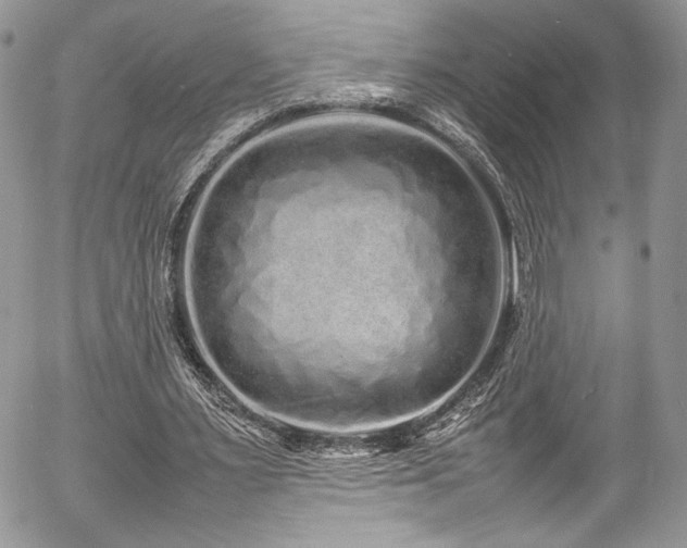 X0000054370483200507291050