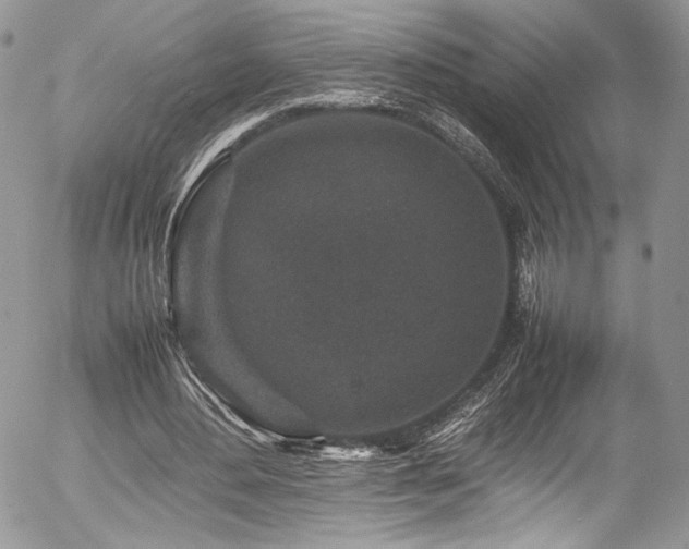 X0000054370484200507291050