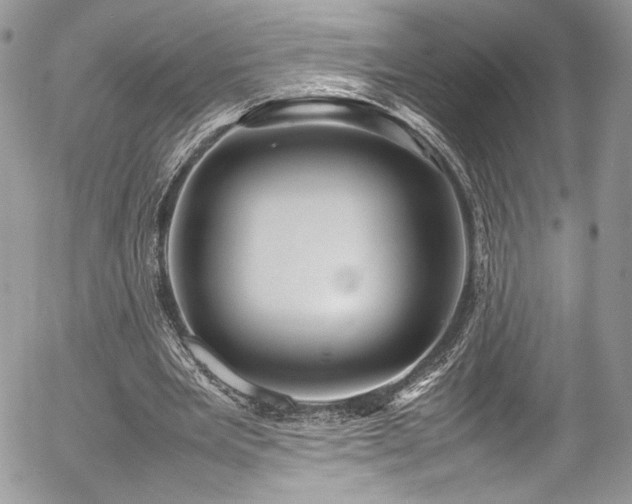 X0000054370485200507291050