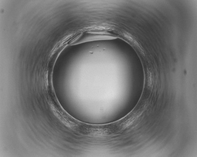 X0000054370486200507291050