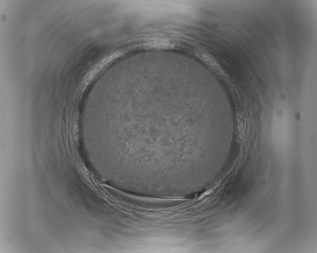 X0000054370487200507291050