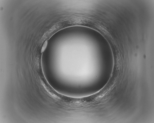 X0000054370489200507291050