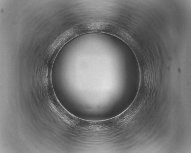 X0000054370490200507291050