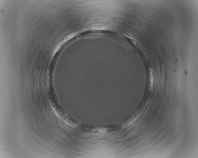 X0000054370492200507291050