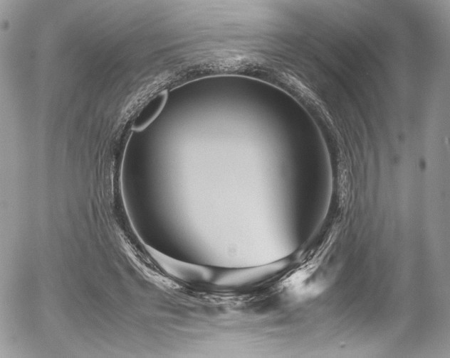 X0000054370493200507291050