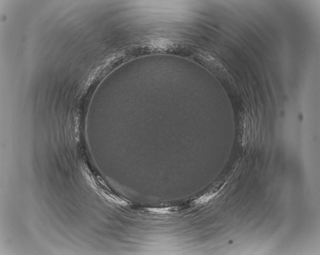 X0000054370496200507291050