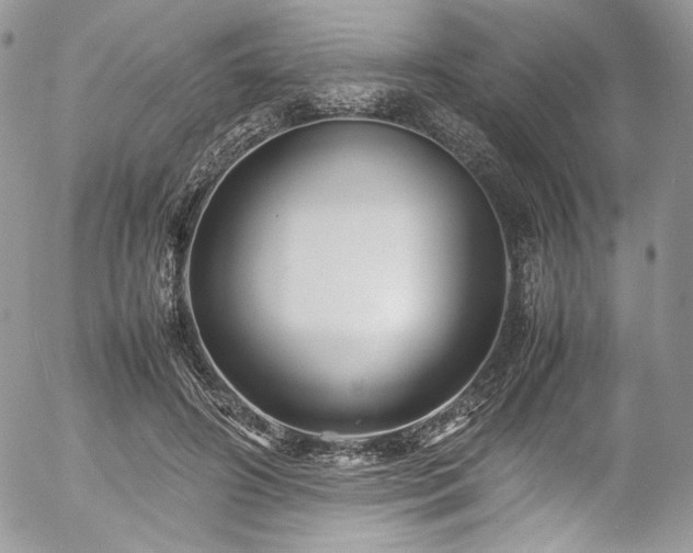 X0000054370498200507291050