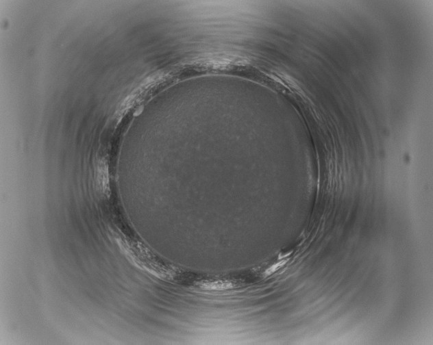 X0000054370500200507291050