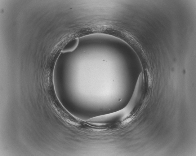 X0000054370501200507291050