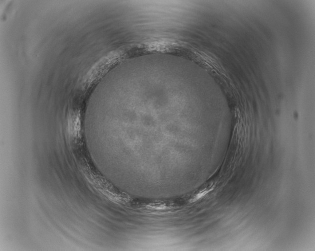 X0000054370502200507291050