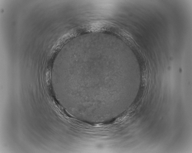 X0000054370503200507291050