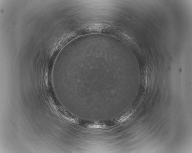 X0000054370504200507291050