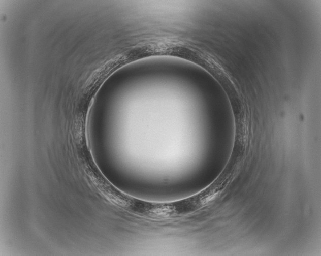 X0000054370505200507291050