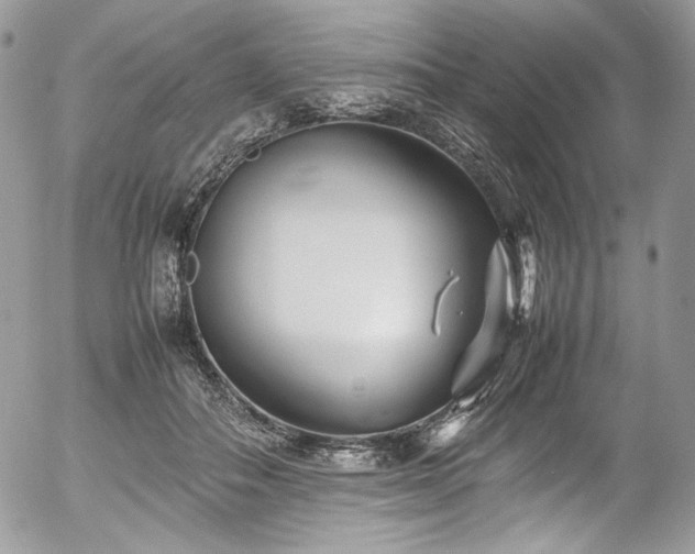 X0000054370506200507291050