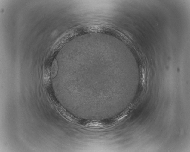 X0000054370507200507291050