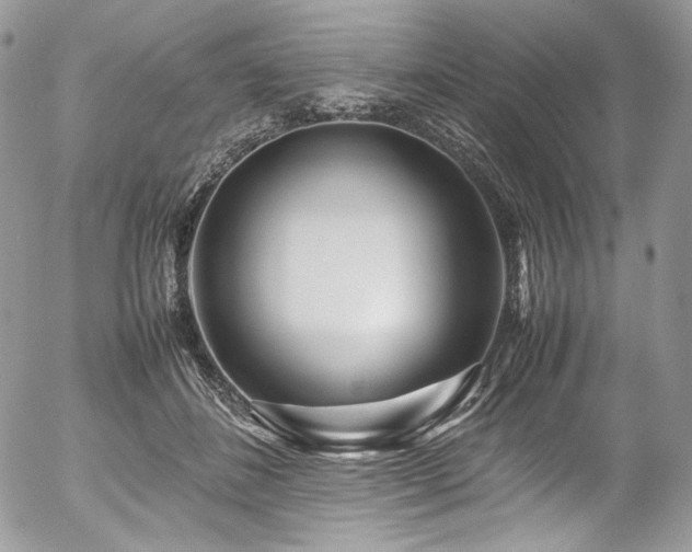 X0000054370508200507291050