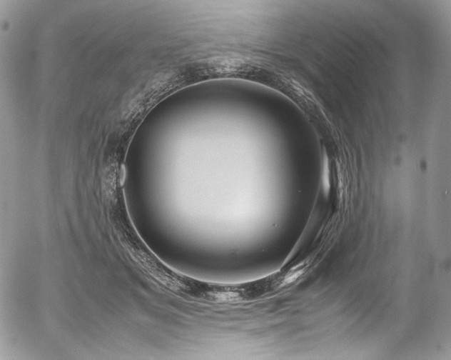 X0000054370509200507291050