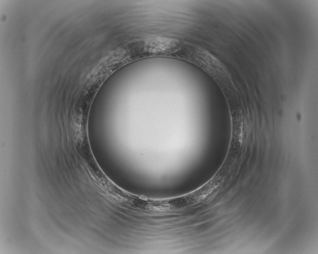 X0000054370510200507291050