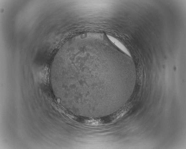 X0000054370511200507291050