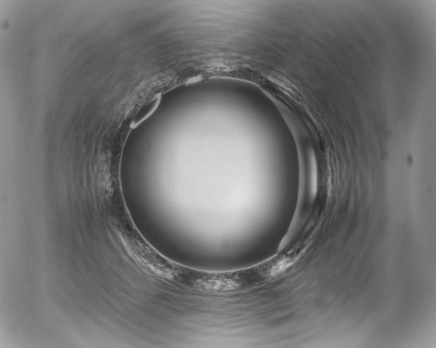 X0000054370512200507291050