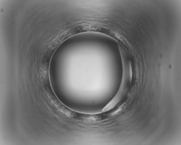 X0000054370513200507291050