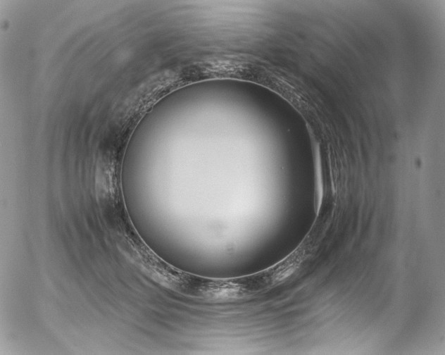 X0000054370514200507291050