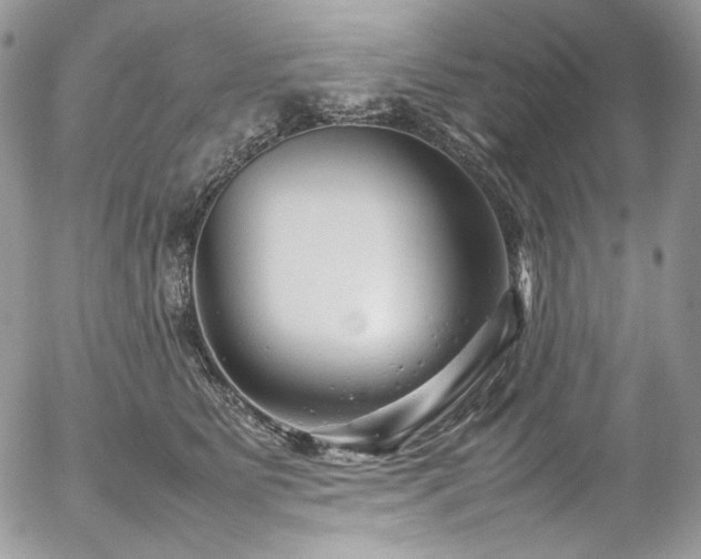 X0000054370515200507291050