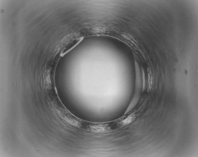 X0000054370516200507291050