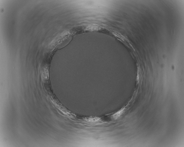 X0000054370517200507291050