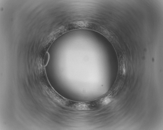 X0000054370518200507291050