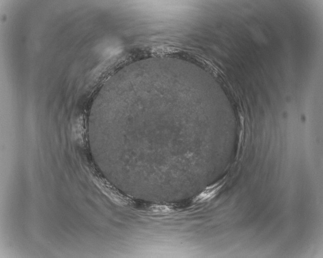 X0000054370519200507291050