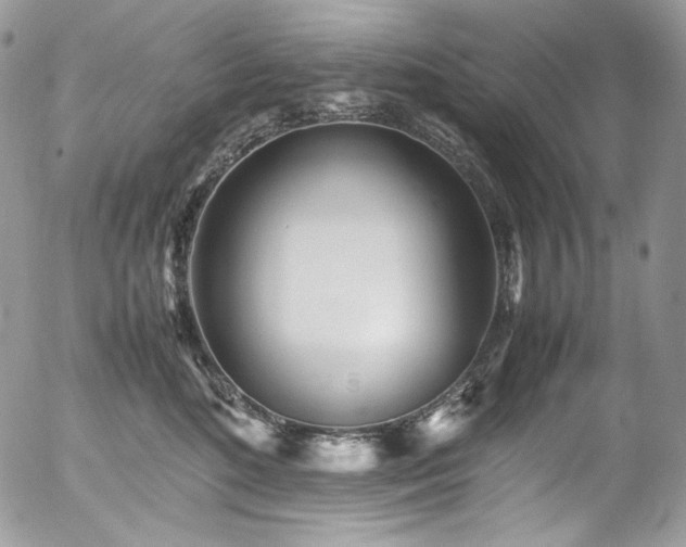 X0000054370520200507291050