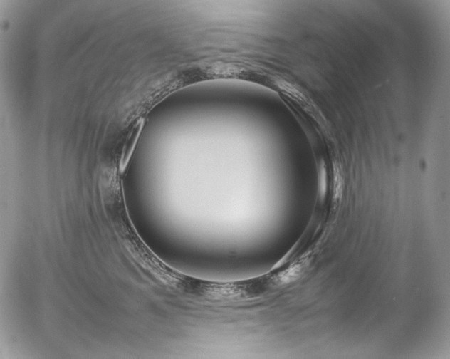 X0000054370521200507291050