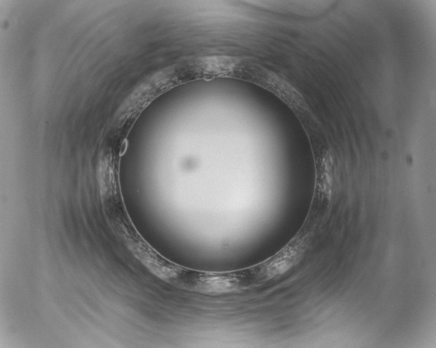 X0000054370522200507291050