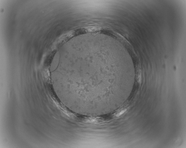 X0000054370523200507291050