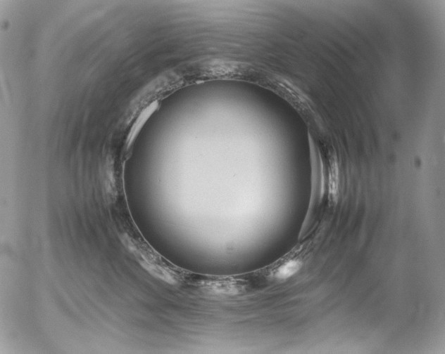 X0000054370524200507291050