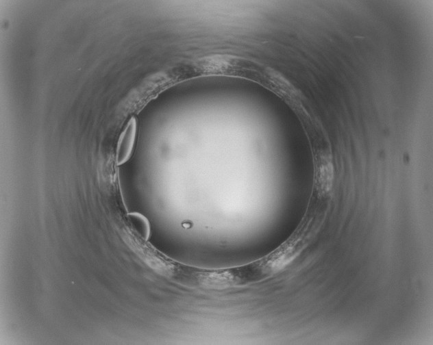 X0000054370525200507291050