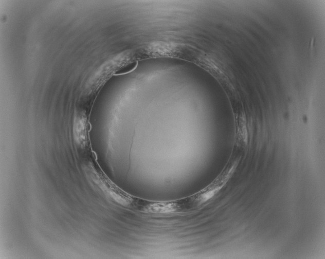 X0000054370526200507291050