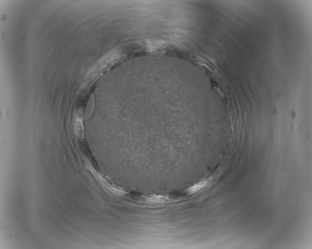 X0000054370527200507291050