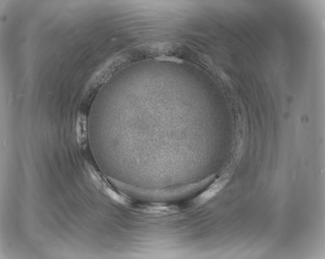 X0000054370528200507291050