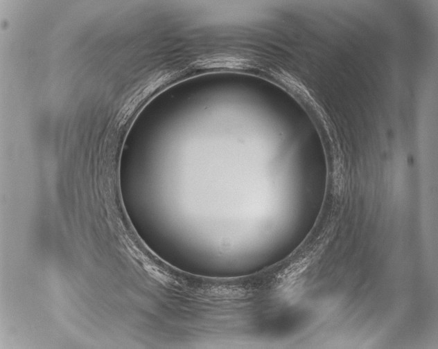 X0000054370529200507291049