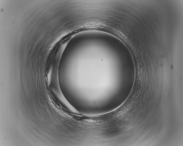 X0000054370530200507291049