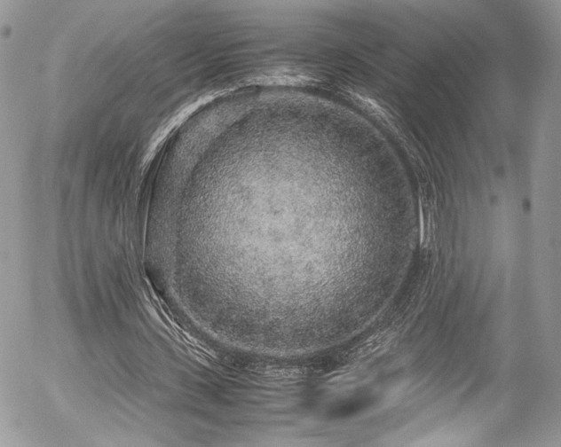 X0000054370531200507291049