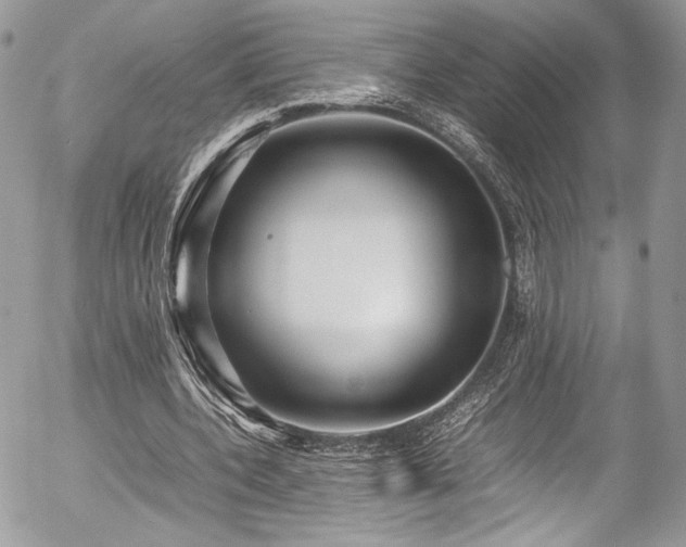 X0000054370532200507291049