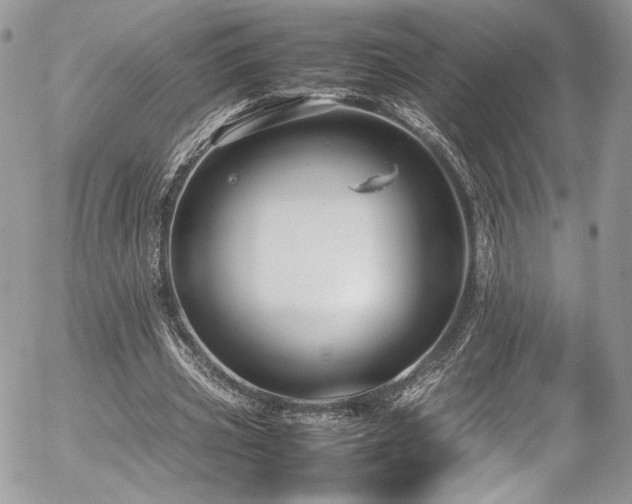 X0000054370533200507291049