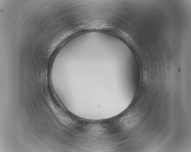 X0000054370534200507291049