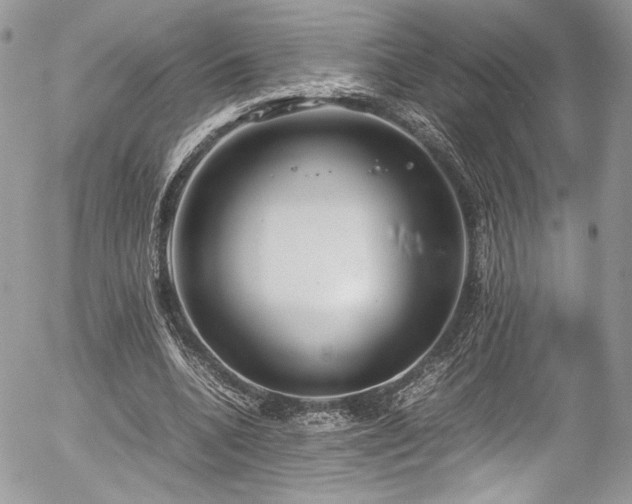 X0000054370536200507291049