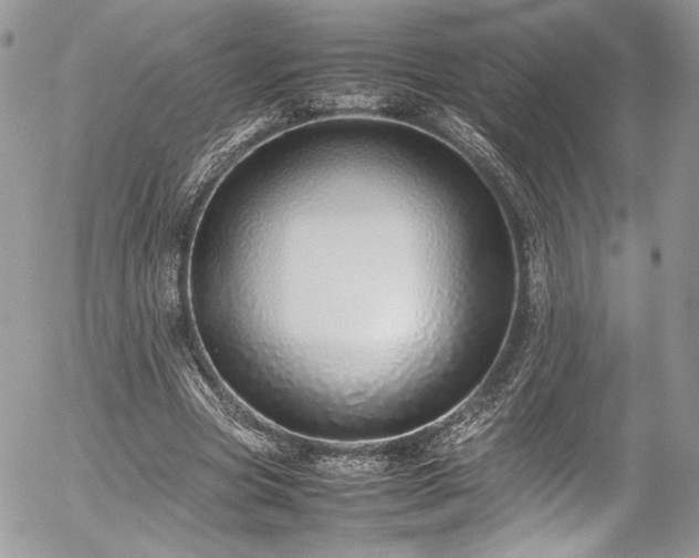 X0000054370537200507291049