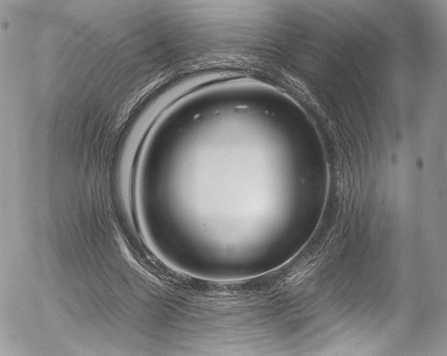 X0000054370538200507291049