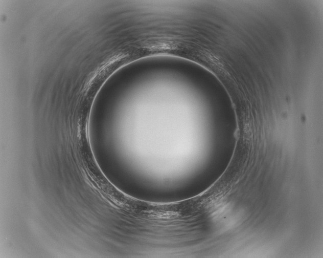 X0000054370539200507291049